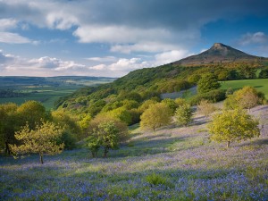 Roseberry Topping, North Yorkshire, England